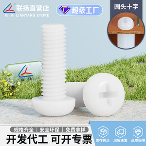 Tornillos de Nylon Lianyang M2-M10, Cabeza Redonda Phillips, Fijaciones Aislantes, Grado A Clase 8, Poliamida PA66 - Product Image 5