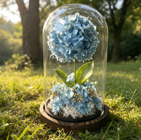 Bunga Hydrangea Awet Shangchu dalam Kubah Kaca - Ornamen Bunga Abadi Bergaya INS yang Elegan, Hadiah Kreatif Mewah untuk Rumah/Meja