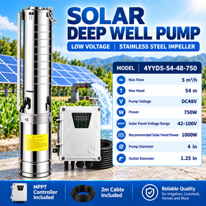 Bomba Sumergible Solar QY de 4 Pulgadas, DC48V 750W, 5 m3/h, 54m de Altura, Impulsor de Acero Inoxidable - Product Image 1
