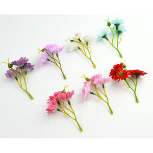 Ot-venta oficial-Baja-ecoración de alentina, IFT, ox - Product Image 5