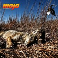 MOJO Outdoors Super Critter - Señuelo y Llamador de Depredadores, Duradero para Caza
