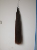 Extension de cheveux de queue de cheval de Mongolie de couleur noire de 1/2 LB 85-90 CM de longueur fausse queue de cheval étendue