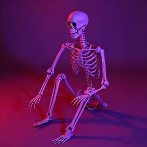 Squelette d'Halloween <span class=keywords><strong>de</strong></span> simulation humaine, accessoires <span class=keywords><strong>de</strong></span> décoration pour fête d'<span class=keywords><strong>horreur</strong></span>, squelette d'<span class=keywords><strong>horreur</strong></span>, enseignement <span class=keywords><strong>de</strong></span> <span class=keywords><strong>l</strong></span>'<span class=keywords><strong>anatomie</strong></span> humaine - Product Image 5
