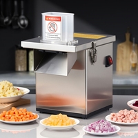 Elektrische snijmachine 220V voor granulaire wortel, radijs, ui, aardappel, gesneden groentestrips, snijden voor gebruik in restaurantkeukens