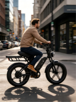 Vélo de montagne électrique pour adultes avec moteur central, frein à disque sans balais, cadre en acier, affichage numérique