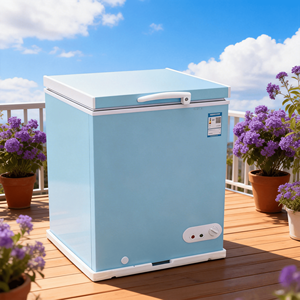 Congélateur <span class=keywords><strong>coffre</strong></span> commercial 100L-300L à refroidissement direct pour restaurants et hôtels, <span class=keywords><strong>prix</strong></span> de gros, certifié CE/CB, fabrication OEM - Product Image 3