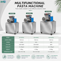 Extrudeuse à pâtes commerciale multi-capacités ZL-B60 ZL-B80 ZL-B100 avec moule interchangeable pour la fabrication de macaroni et de nouilles aux légumes pour atelier alimentaire