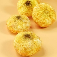 Cynorrhodons Dorés Lyophilisés, Soigneusement Sélectionnés, Cultivés Biologiquement, Fruits de Cynorrhodon Lyophilisés, Origine Anhui, Fleur