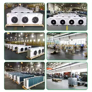 Factory Direct Supply Low Noise Ceiling-mounted Blast Freezer Air Cooler Evaporator For Cold Room Storage