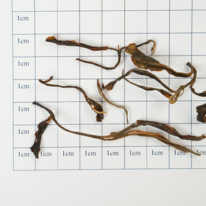 Pu'er crudo orgánico envejecido 2019: la evolución de la miel salvaje y la cáscara de ciruela, té de árbol antiguo, mejora de bodega de cinco años - Product Image 4