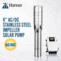 Pompe solaire immergée haute pression OEM avec impeller en acier inoxydable de 6 pouces AC/DC