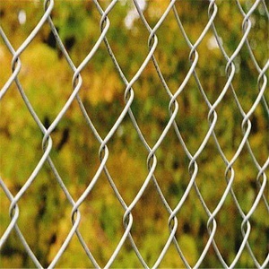 Hàng Rào Liên Kết Hàng Rào Tráng Nhựa Nuôi Trồng Thủy Sản Seine Orchard Bảo Vệ Net Dây Thép Bóng Sân Hàng Rào Net Ring Mountain Fish Pond - Product Image 2