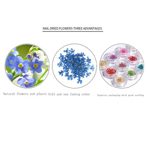 12 couleurs bricolage japonais <span class=keywords><strong>Nail</strong></span> <span class=keywords><strong>Art</strong></span> 3D plein ciel étoile conception plante naturelle inspirée fleur séchée décoration des ongles Style français - Product Image 2