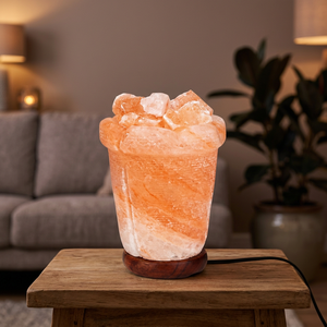 Lampe en pierre de sel rose de l'Himalaya, bol décoratif Feng Shui, éclairage décoratif, fournisseur OEM - Product Image 3