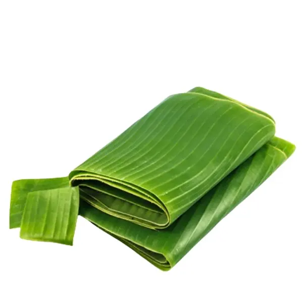 (HOT DEAL) - FRESH/ FROZEN BANANA LEAVES FOR PACKING/ WRAPPING FOOD WITH HIGH QUALITY PRODUCT FOR EXPORT FROM VIETNAM 2023