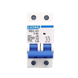 ND1-63 시리즈 C-2p AC 소형 회로 차단기 6A 10A 16A 20A 32A 40A 50A 63A - Product Image 1