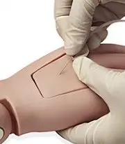 <span class=keywords><strong>Model</strong></span> manusia menyusui PVC multifungsi untuk pelatihan pelajar untuk pengajaran sains medis di sekolah rumah sakit berfokus pada <span class=keywords><strong>CPR</strong></span> - Product Image 5