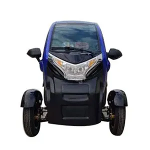 Hoge Snelheid Mini Elektrische Auto Carro Electrico Voor Volwassenen