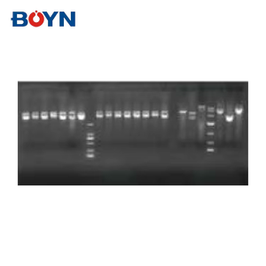 BNGDS-A210 BNGDS-A220自动凝胶成像分析系统PCR文档实验室凝胶文件成像系统 - Product Image 3
