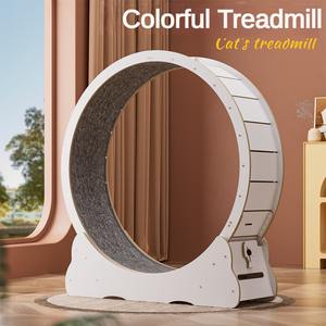 Roue de course pour chat colorée à haute teneur en fibres, silencieuse, en bois durable, best-seller - Product Image 2