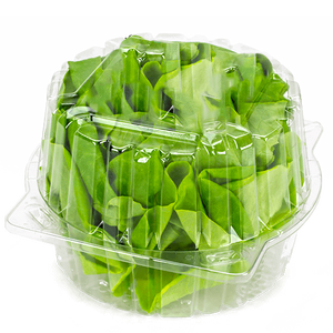Envase de Plástico Grande de Alta Calidad <span class=keywords><strong>para</strong></span> <span class=keywords><strong>Lechuga</strong></span> Salanova, Tipo Concha - Product Image 4