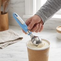 Cucchiaio per Gelato in Acciaio Inox con Manico Antiscivolo in PP e Foro per Appendere, Ideale per Casa e Gelaterie