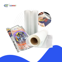 Rouleau de film PET DTF Cowint 60 cm, film de transfert thermique avec pelage à froid pour impression numérique à jet d'encre haute température sur vêtements