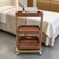 Chariot de rangement roulant de qualité professionnelle avec plateau en bois, support mobile pour hôtel, coiffure, soins du visage, spa capillaire, salon de beauté