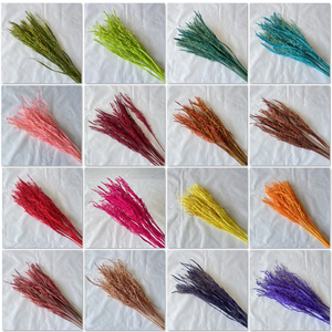 <span class=keywords><strong>ข้าว</strong></span>แหลมสำหรับประดับตกแต่ง<span class=keywords><strong>บ้าน</strong></span>,ดอกตะปูสำหรับตกแต่งร้านกาแฟดอกไม้งานแต่งงานต้นไม้ธรรมชาติสีสันสดใส - Product Image 2