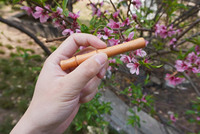 Diffuseur personnel en bois portable, inhalateur d'aromathérapie pour huile essentielle, bâton inhalateur nasal