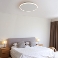 Design élégant Panneau chauffant rond monté au plafond Chauffage graphène Lumières LED en option