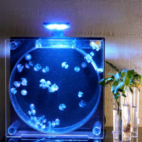 Petit aquarium écologique en acrylique, ensemble complet avec filtre circulant et aménagement paysager pour poissons et méduses à domicile