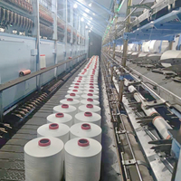 Fabrication de fil textile DTY 300D 600D NIM SD RW polyester texturé usine de fil pour rideaux et tapis