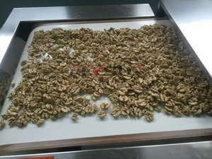 Secador de Túnel por Microondas Automático con Control PLC Flysun para Frutos Secos, Máquina de Secado y Esterilización con Cinta Transportadora, Acero Inoxidable 304 - Product Image 2