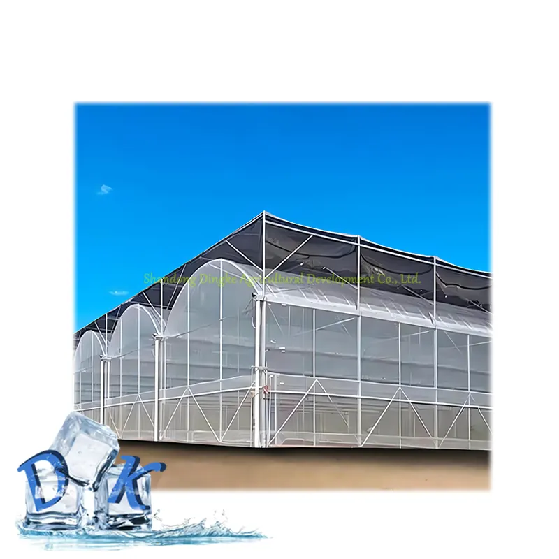 फैक्टरी बिक्री ग्रीनहाउस स्टील पाइप स्पैन 8 मीटर स्पॉट स्पीड फ्री गाइडेंस ग्रीनहाउस खेती सब्जी फिल्म ग्रीनहाउस