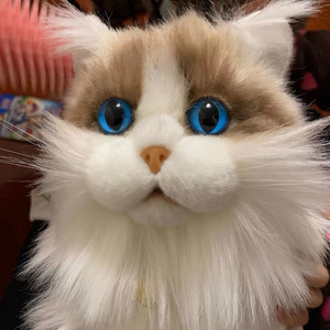 Ragdoll Cat juguetes de peluche Siamés Birman británico Shorthair Cat Throw Pillow American Exotic Shorthair persa muñeco de peluche - Product Image 2