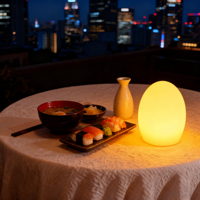 Lampe de table sans fil rechargeable en forme d'œuf, à changement de couleur LED, avec télécommande, simple, pour restaurant et hôtel, lumière LED nocturne