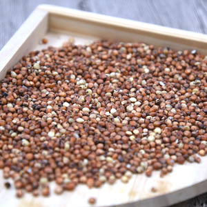 Riz de sorgho avec coques 500G pour oiseaux, lapins, chinchillas, petits animaux, collations écologiques pour animaux de compagnie - Product Image 3