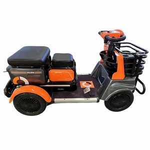 Triciclo Eléctrico de 4 Ruedas al por Mayor para Adultos, Carrocería Abierta, Motor sin Escobillas de 48V 500W-800W, Trimotos a Precio Económico - Product Image 1