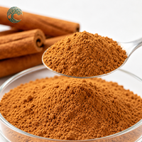 Vente en gros usine : Poudre d'extrait d'écorce de cannelle 10:1 20:1, matière première en fût
