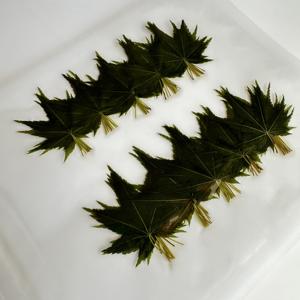 100ใบเมเปิ้ลใบโมมิจิเค็มชิ้น/แพ็คสำหรับตกแต่งอาหารซูชิ - Product Image 3