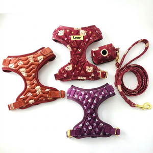 Conjunto de Arnés para Perro de Terciopelo Rojo con Colores y Patrones Personalizados 2026, con Hebillas de Metal Oro Rosa, Apto para Cachorros - Product Image 3