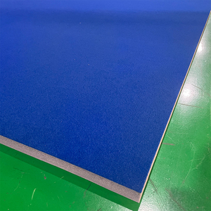 Alfombrilla enrollable de alta calidad para Judo Wrestling Taekwondo y <span class=keywords><strong>Wushu</strong></span> - Product Image 5