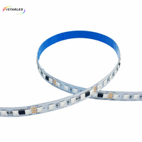 Bande LED numérique programmable RGB flexible à haute densité 96 LED SMD5050 DC24V 16 pixels UCS1903/WS2811/SM16703 12 mm PCB SPI