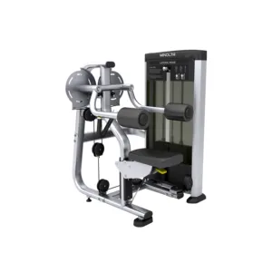 Penjualan Super peralatan Gym peralatan latihan mesin peninggi Lateral Mnd-fs05 hitam