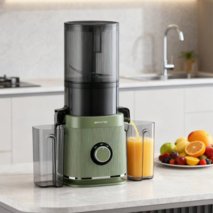 Máy ép trái cây chậm tự động thương mại 300W, máy ép trái cây, máy ép chậm ép lạnh - Product Image 1