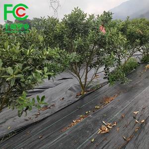 Landbouwplant Beschermer Onkruidmat Gebruikt Bij Drakenfruitboomgaarden Voor Bomen - Product Image 2