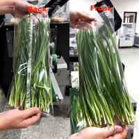 Machine d'emballage semi-automatique horizontale Flow Wrapper pour l'emballage alimentaire de poireaux et de spaghettis avec film plastique PE et ensacheuse à bande