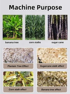 Fabriek Directe Bananenboommachine Benzine Diesel Elektrische Kleine Draagbare Shredder Voor Verwerking Van Bananenstamvoer - Product Image 6
