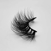 HITOMI B854A-25 D Modèle Cils en Faux Vison Faits Main 25mm 20mm Vente en Gros Étiquette Privée Boîte d'Emballage Personnalisée